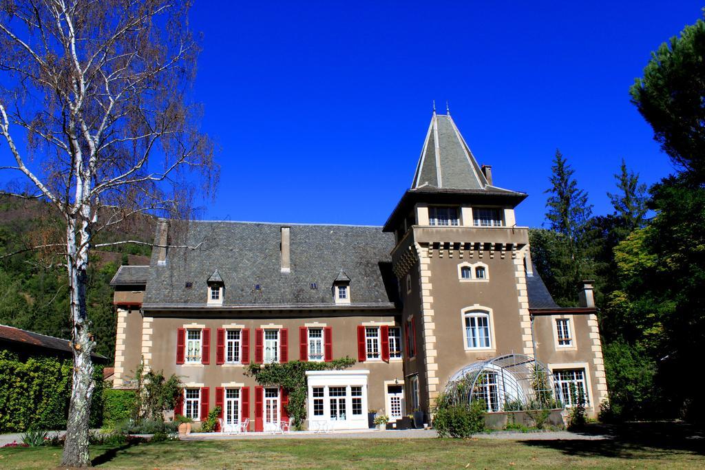 Chambres D'Hotes Chateau De Viviez מראה חיצוני תמונה