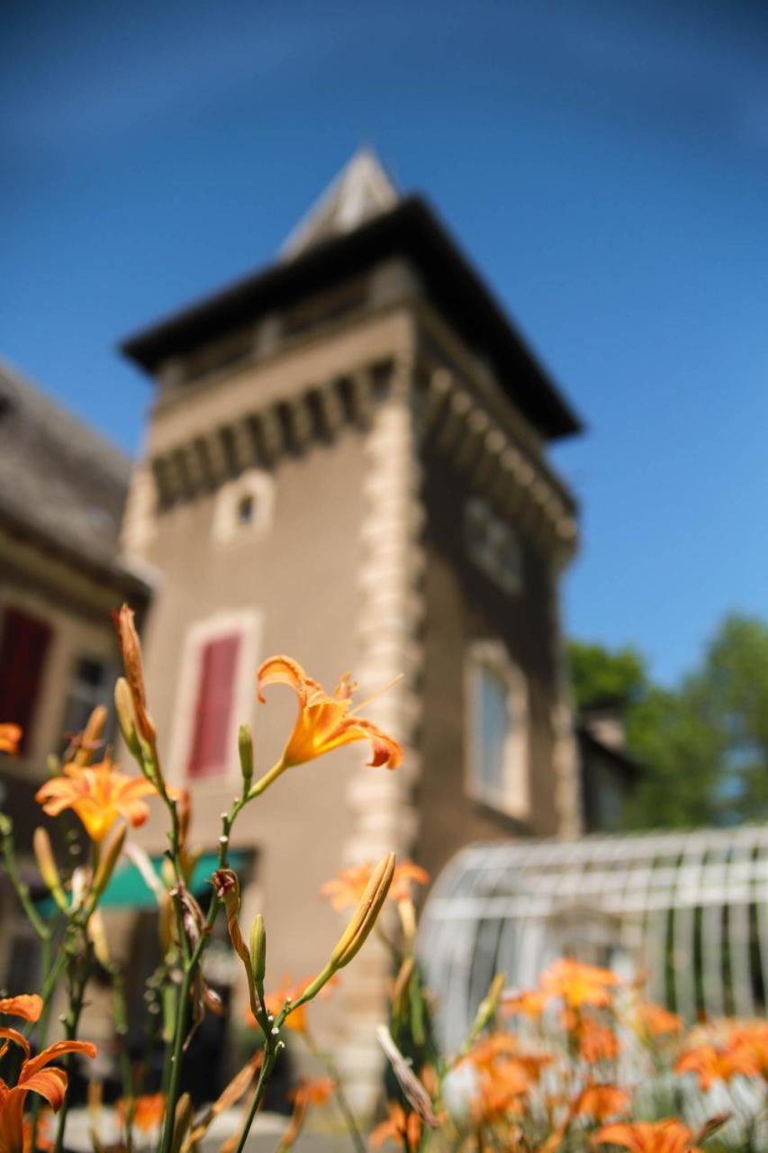 Chambres D'Hotes Chateau De Viviez מראה חיצוני תמונה